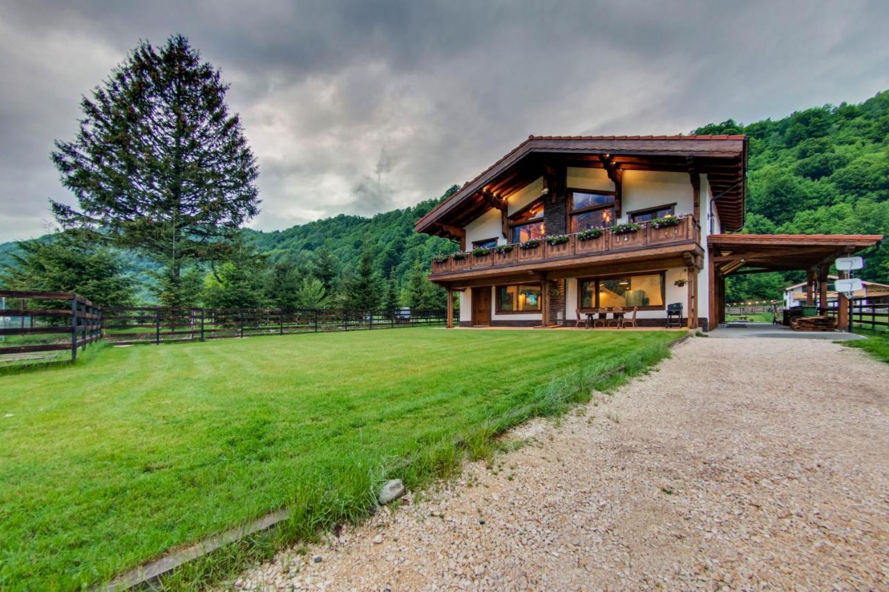 Villa Avalanche Plaiul Foii Zărneşti Exterior foto