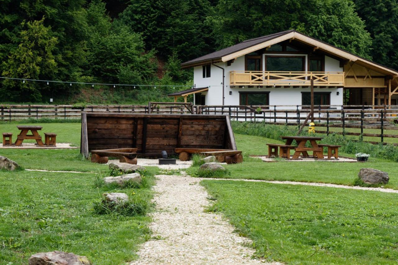 Villa Avalanche Plaiul Foii Zărneşti Exterior foto
